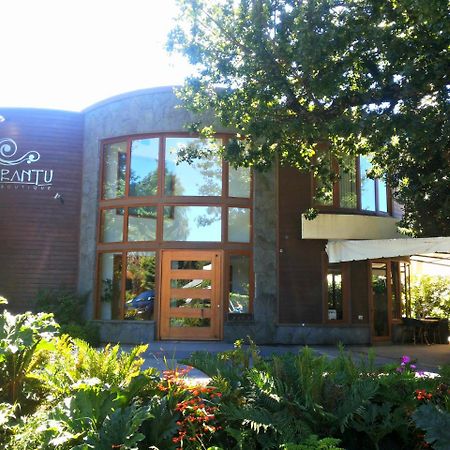 Cocurantu Hotel Boutique Pucón Buitenkant foto
