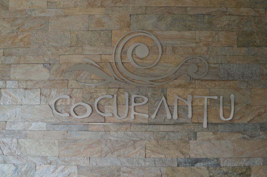 Cocurantu Hotel Boutique Pucón Buitenkant foto